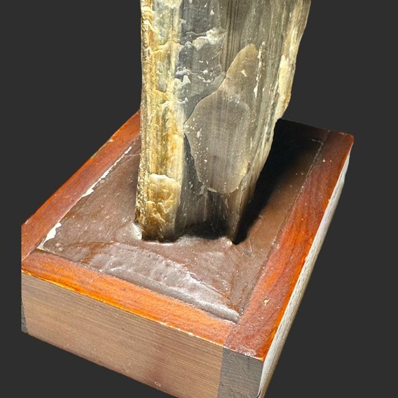 PETRIFIED WOOD NORTH DAKOTA BADLANDS ON VINTAGE HANDMADE STAND - Picture 8 of 12